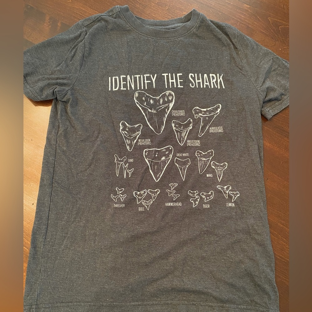 Kids T-shirt short sleeve XL (16)